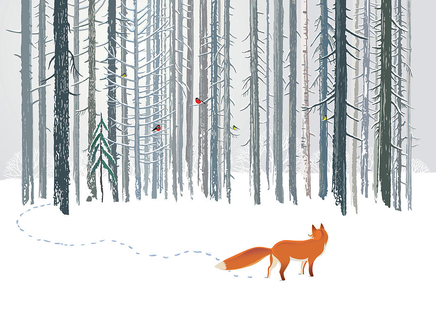 image from Analytics: Endangered Species in United States National Parks